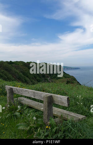 Old weathered wooden bench looking out to sea with beautiful blue sky from Ravenscar, North Yorkshire. Stock Photo