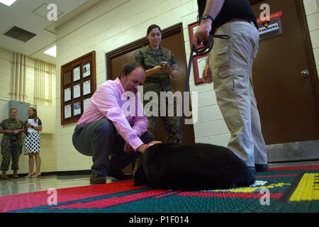 Retired military working dog Patti before receiving a U.S. War Dogs ...