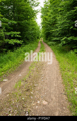 A gravel and dirt logging road in the Adirondack wilderness, NY USA Stock Photo