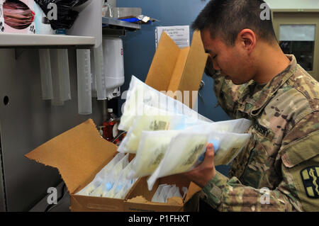 Sgt. Kerno Kim, pharmacy specialist with the 31st Combat Support Hospital and Queens, N.Y. native, sorts IV bags during an inventory Oct. 25, 2016 at Camp Arifjan, Kuwait. Kim along with a small team of Soldiers operate the 31st CSH pharmacy providing pharmaceutical support to patients suffering from injuries and illnesses throughout the ARCENT area of operations. The team processes more than 3,500 outpatient prescriptions a month to service members and civilians while providing support to inpatient care and other facilities throughout the region. (U.S. Army photo by Sgt. Aaron Ellerman) Stock Photo