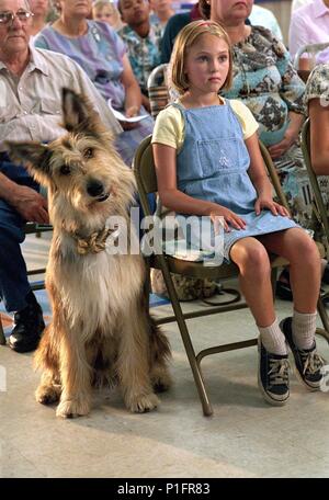 Original Film Title: BECAUSE OF WINN-DIXIE.  English Title: BECAUSE OF WINN-DIXIE.  Film Director: WAYNE WANG.  Year: 2005.  Stars: ANNASOPHIA ROBB. Credit: 20TH CENTURY FOX / Album Stock Photo