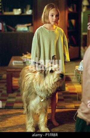 Original Film Title: BECAUSE OF WINN-DIXIE.  English Title: BECAUSE OF WINN-DIXIE.  Film Director: WAYNE WANG.  Year: 2005.  Stars: ANNASOPHIA ROBB. Credit: 20TH CENTURY FOX / Album Stock Photo