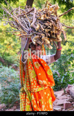 Local woman carrying bundle of firewood on her head in Taj Ganj neighborhood of Agra, Uttar Pradesh, India. Agra is one of the most populous cities in Stock Photo