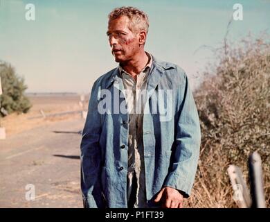 Original Film Title: COOL HAND LUKE.  English Title: COOL HAND LUKE.  Film Director: STUART ROSENBERG.  Year: 1967.  Stars: PAUL NEWMAN. Credit: WARNER BROTHERS / Album Stock Photo