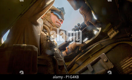 Pfc. Elmer Perez, a scout rifleman with 1st Light Armored Reconnaissance Battalion, 1st Marine Division, surveys the area outside his team’s light armored vehicle (LAV-25) during a field exercise aboard Marine Corps Base Camp Pendleton, Calif., Oct. 25, 2016.  The exercise was held as part of a week-long Marine Corps Combat Readiness Evaluation. Marines undergo MCCREs to ensure combat readiness before deployments. Scout riflemen ride in the LAV-25s and exit the vehicle when patrolling on foot is necessary.  (U.S. Marine Corps photo by Cpl. Justin Huffty) Stock Photo