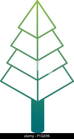 pine tree plant isometric icon Stock Vector