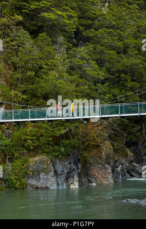 Tourists on footbridge, Blue River, Blue Pools, Mount Aspiring National Park, Haast Pass, Makarora, Otago, South Island, New Zealand (model released) Stock Photo