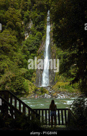 Tourist, Thunder Creek Falls & Haast River, Haast Pass, Mt Aspiring National Park, West Coast, South Island, New Zealand (model released) Stock Photo