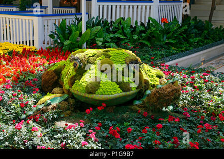 LAS VEGAS - SEPTEMBER 05: Fall season in Bellagio Hotel Conservatory & Botanical Gardens on September 05, 2012 in Las Vegas. There are five seasonal t Stock Photo