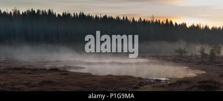 Misty before the sunrise. Torronsuo national park, Tammela, Finland. 7.5.2018