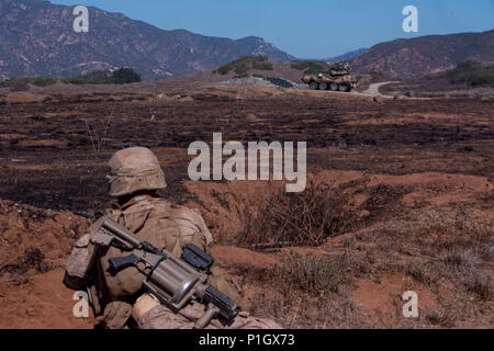 Lance Cpl. Seth Trunick, a scout rifleman with 1st Light Armored Reconnaissance Battalion, 1st Marine Division, takes up a defensive position during a field exercise as a light armored vehicle (LAV-25) takes a firing position aboard Marine Corps Base Camp Pendleton, Calif., Oct. 25, 2016. The exercise was held as part of a week-long Marine Corps Combat Readiness Evaluation. Marines undergo MCCREs to ensure combat readiness before deployments. The LAV-25 is an eight-wheeled vehicle made of light armor grade steel and mounted with a M242 Bushmaster, a 25-millimeter chain-driven weapon.  (U.S. Ma Stock Photo