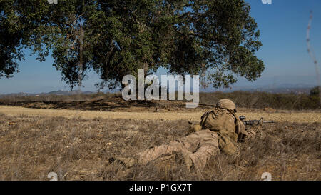 Pfc. Elmer Perez, a scout rifleman with 1st Light Armored Reconnaissance Battalion, 1st Marine Division, takes up a firing position during a field exercise aboard Marine Corps Base Camp Pendleton, Calif., Oct. 25, 2016.  The exercise was held as part of a week-long Marine Corps Combat Readiness Evaluation. Marines undergo MCCREs to ensure combat readiness before deployments. This training allows Marines to become proficient and comfortable with their weapon systems in a realistic environment. (U.S. Marine Corps photo by Cpl. Justin Huffty) Stock Photo