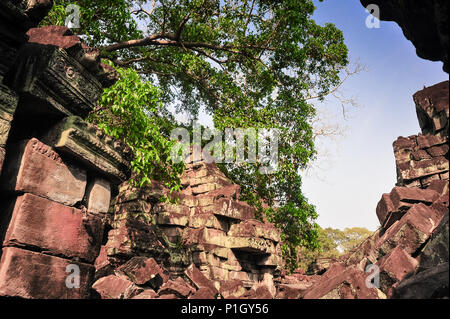 Preah Khan temple ruins, part of the Angkor Wat complex. View through crumbling walls to a blue sky, framed with trees Stock Photo