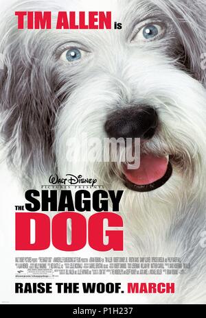 Original Film Title: THE SHAGGY DOG.  English Title: THE SHAGGY DOG.  Film Director: BRIAN ROBBINS.  Year: 2006. Credit: DISNEY ENTERPRISES / Album Stock Photo
