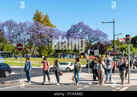 Lisbon, Portugal - May 19, 2017: People waiting to cross street in Lisbon, Portugal. Blossoming jacaranda trees in the background. Stock Photo