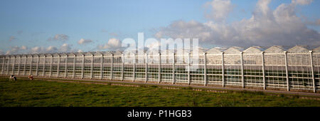 Facade of a large glass greenhouse or nursery hothouse panorama view Stock Photo