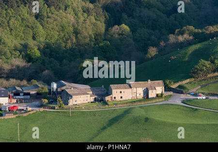 Low Oxnop farm, a traditional hill farm, in Swaledale, Yorkshire Dales National Park. Stock Photo