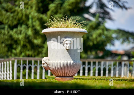 Botanical garden of Sežana, 19th century, Slovenia A 150-years old cedar, flowerbeds, blooming pergolas and the palmarium - garden of joy Stock Photo