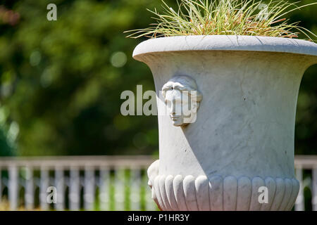 Botanical garden of Sežana, 19th century, Slovenia A 150-years old cedar, flowerbeds, blooming pergolas and the palmarium - garden of joy Stock Photo