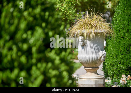 Botanical garden of Sežana, 19th century, Slovenia A 150-years old cedar, flowerbeds, blooming pergolas and the palmarium - garden of joy Stock Photo