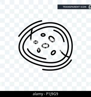 Basophil vector icon isolated on transparent background, Basophil logo concept Stock Vector