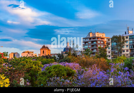 Flowering trees in the park of Turia in the pre-hours. Valencia, Spain Stock Photo