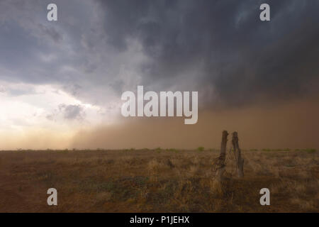 Dust storm of a thunderstorm above the steppe of Texas, USA Stock Photo