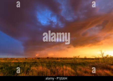 Undulatus clouds during sunset in Texas, USA Stock Photo