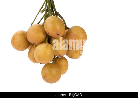 Burmese grape - Mafai in Thai, sweet and sour fruit (scientific name is Baccaurea ramiflora Lour) isolated on white Stock Photo