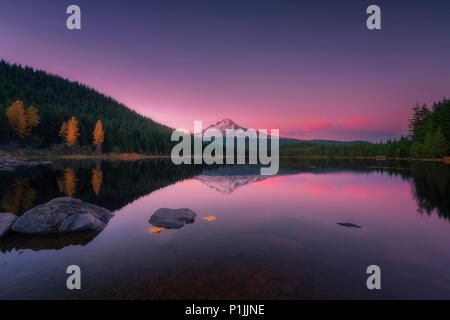 Reflections on Trillium Lake with volcano Mount Hood, Clackamas County, Oregon, USA Stock Photo