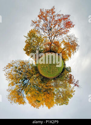 Autumn little planet - Globe with forest Stock Photo
