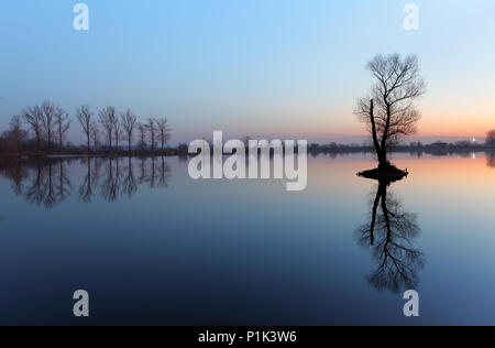 Tree in lake with color sky Stock Photo
