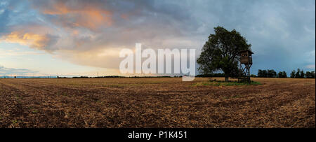 Plowed field Panorama with tree at sunset Stock Photo