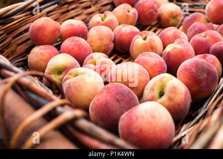 Wicker basket with fresh juicy peaches in close up view Stock Photo