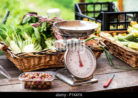 A scale with assorted fresh farm produce in wicker baskets and containers on a market table with crops in a field as a backdrop Stock Photo