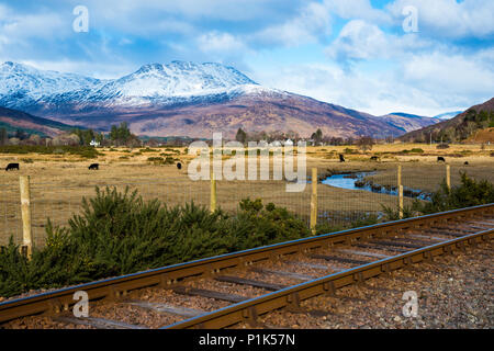 A dusting of snow on the peaks of Glass Bheinn and Sgurra' Gharaidh near Lochcarron with cattle and train tracks in the foreground Stock Photo