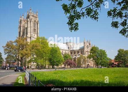 Beverley Minster exterior the Parish Church of St John and St Martin in spring Beverley East Yorkshire England UK United Kingdom GB Great Britain Stock Photo