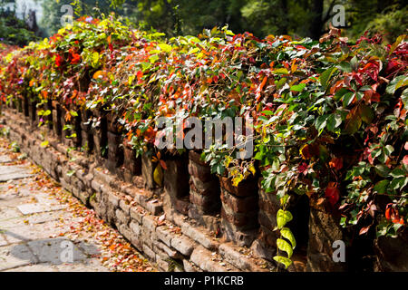 Red and green leaves sprawl across the top of a brick rail lining the path at Castillo Hidalo on Santa Lucia Hill in Santiago, Chile.