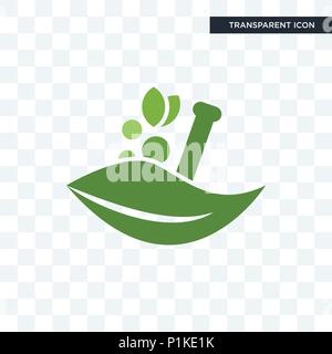 ayurvedic vector icon isolated on transparent background, ayurvedic logo concept Stock Vector