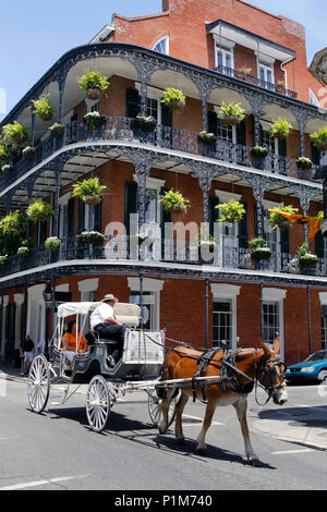 Horse drawn carriage Sightseeing Trip, Corner of Royal & Dumaine Street, French Quarter, New Orleans, Louisiana, USA Stock Photo