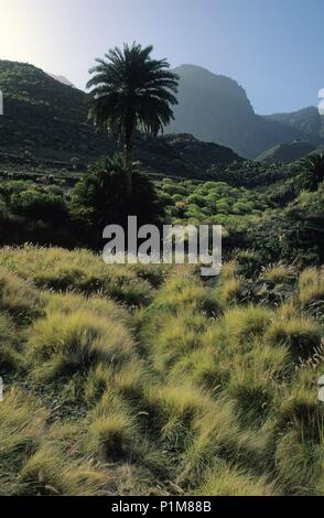 landscape near Puerto de la Aldea, at the west coast. Stock Photo
