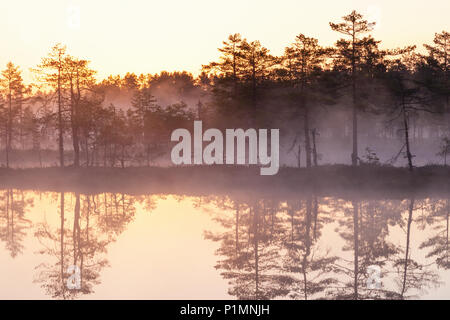 Misty morning on the bog Stock Photo