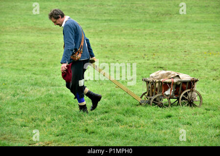 Man in 17th century costume pulling small handcart across grassy field Stock Photo