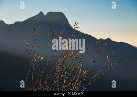 Gasienicowa Glade in Tatra Mountains during colorful sunset Stock Photo