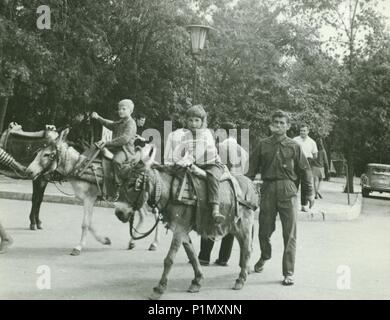 Funny donkey to ride for children Stock Photo - Alamy