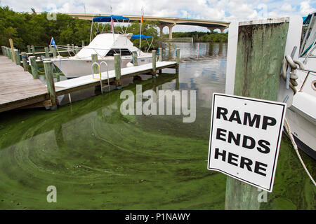 Stuart, Florida, USA. 12th June, 2018. Riverland Mobile Home Park and Marina on the South Fork of the St. Lucie River near Indian Street bridge in Stuart on June 12, 2018. Credit: Allen Eyestone/The Palm Beach Post/ZUMA Wire/Alamy Live News Stock Photo