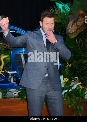 Los Angeles, California, USA. 12th June, 2018. Chris Pratt  041 attends the premiere of Universal Pictures and Amblin Entertainment's 'Jurassic World: Fallen Kingdom' on June 12, 2018 in Los Angeles, California Credit: Tsuni / USA/Alamy Live News Stock Photo