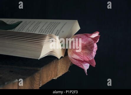 Open book with a beautiful pink tulip as a bookmark, on a rustic wooden table, in black background and low light. Stock Photo
