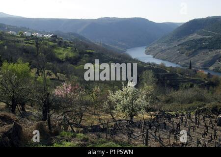 Ribeira Sacra; cañones del río Sil y paisaje cerca de Cristosende. Stock Photo