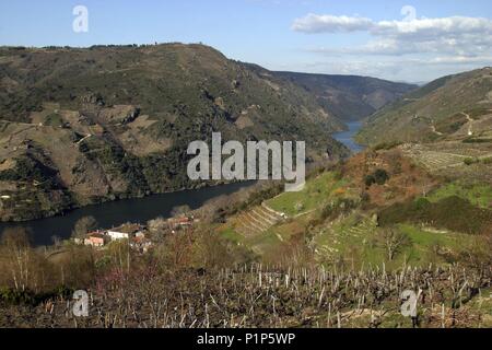 Ribeira Sacra; cañones del río Sil y paisaje / viñedos cerca de Cristosende. Stock Photo